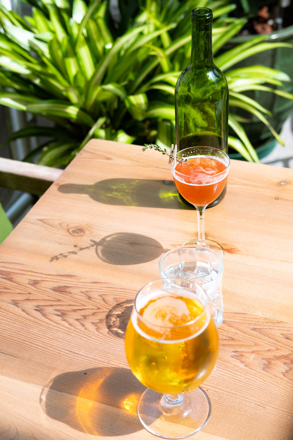 Sunset drinks at The Bar, The Links Ōmokoroa, Bay of Plenty